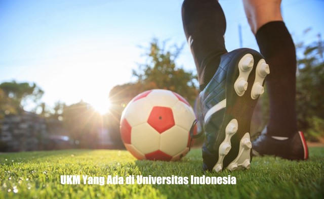 UKM Yang Ada di Universitas Indonesia
