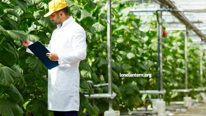 7 Prospek Kerja Lulusan Jurusan Agroteknologi